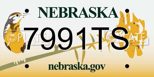7991TS Nebraska License Plate