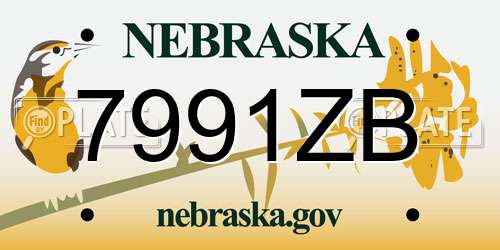 7991ZB Nebraska License Plate