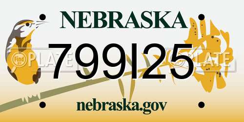 799I25 Nebraska License Plate