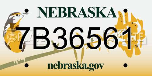 7B36561 Nebraska License Plate