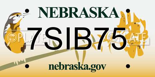 7SIB75 Nebraska License Plate