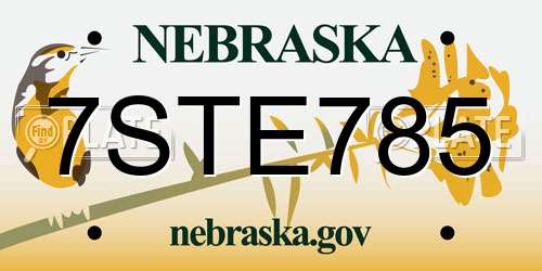7STE785 Nebraska License Plate