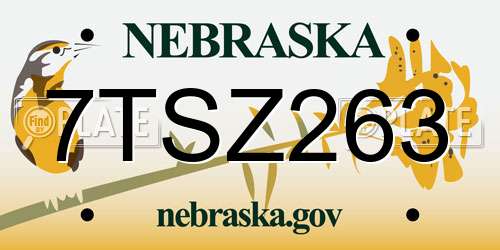 7TSZ263 Nebraska License Plate