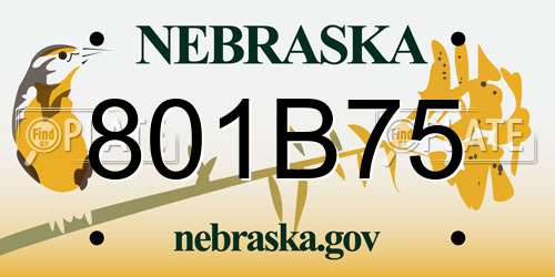 801B75 Nebraska License Plate