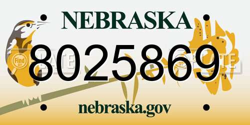 8025869 Nebraska License Plate