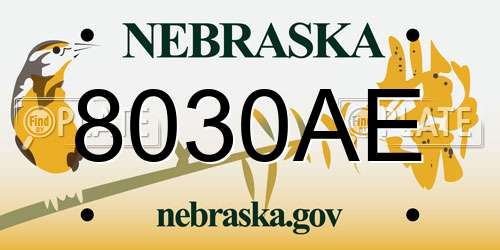 8030AE Nebraska License Plate