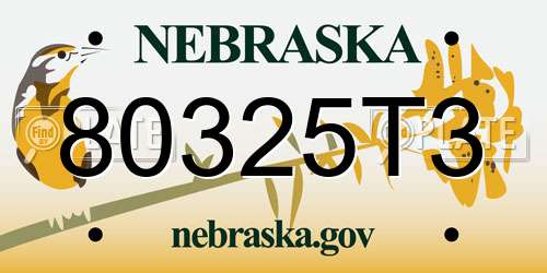 80325T3 Nebraska License Plate