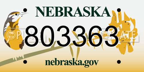 803363 Nebraska License Plate