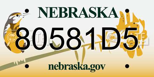 80581D5 Nebraska License Plate