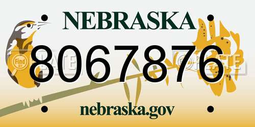 8067876 Nebraska License Plate