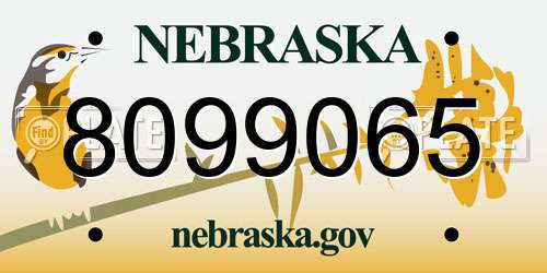 8099065 Nebraska License Plate