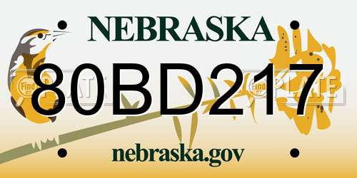 80BD217 Nebraska License Plate