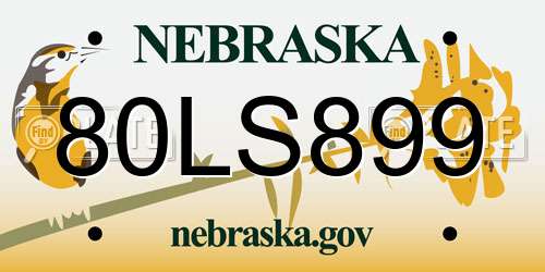 80LS899 Nebraska License Plate