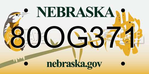 80OG371 Nebraska License Plate