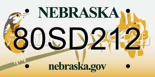 80SD212 Nebraska License Plate