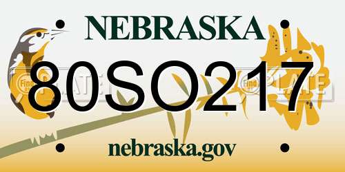 80SO217 Nebraska License Plate