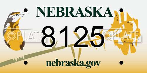 8125 Nebraska License Plate