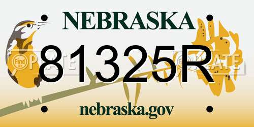81325R Nebraska License Plate