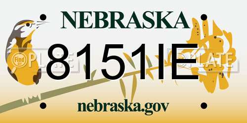 8151IE Nebraska License Plate