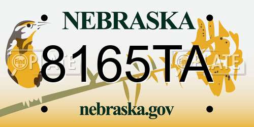 8165TA Nebraska License Plate