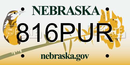 816PUR Nebraska License Plate