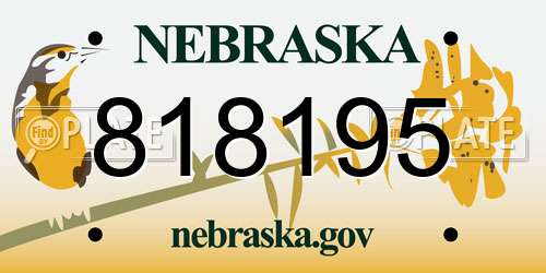 818195 Nebraska License Plate