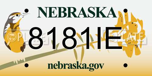 8181IE Nebraska License Plate