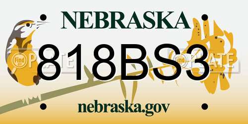 818BS3 Nebraska License Plate