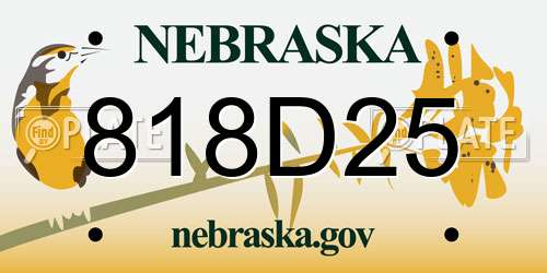 818D25 Nebraska License Plate