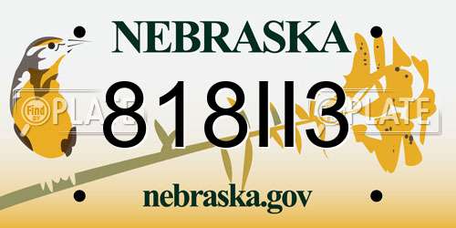 818II3 Nebraska License Plate