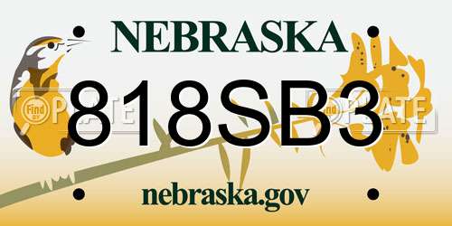 818SB3 Nebraska License Plate
