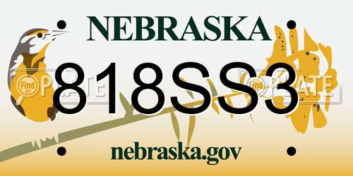 818SS3 Nebraska License Plate