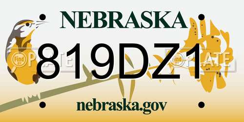 819DZ1 Nebraska License Plate