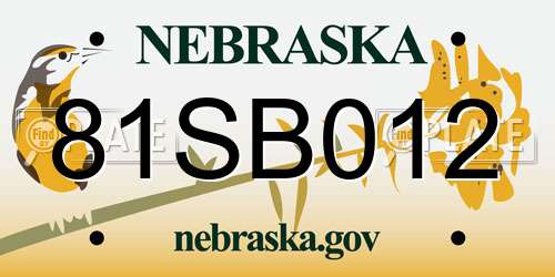 81SB012 Nebraska License Plate