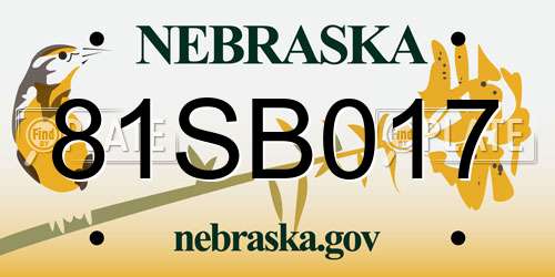 81SB017 Nebraska License Plate