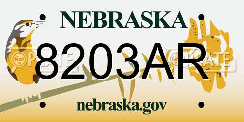 8203AR Nebraska License Plate