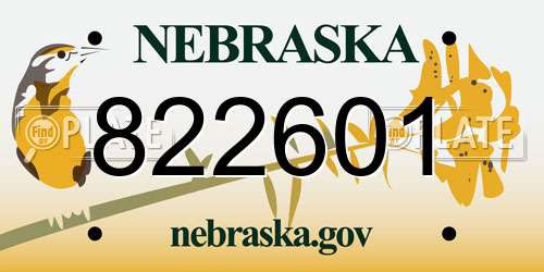 822601 Nebraska License Plate