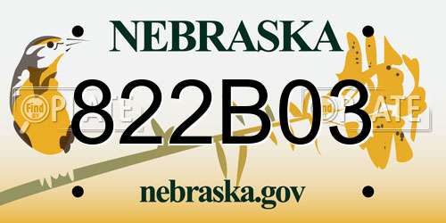 822B03 Nebraska License Plate