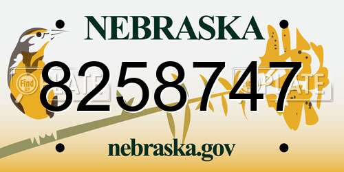 8258747 Nebraska License Plate