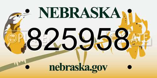 825958 Nebraska License Plate