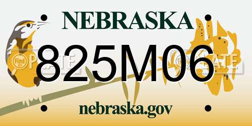 825M06 Nebraska License Plate