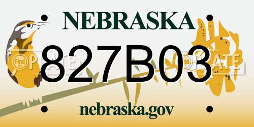 827B03 Nebraska License Plate