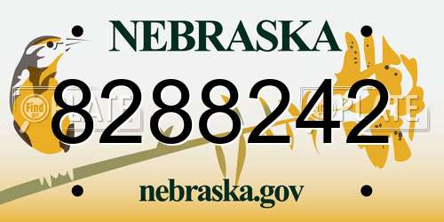 8288242 Nebraska License Plate
