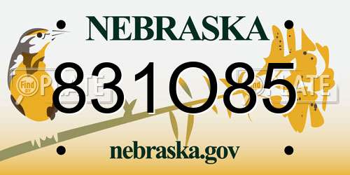 831O85 Nebraska License Plate