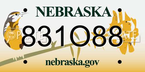 831O88 Nebraska License Plate