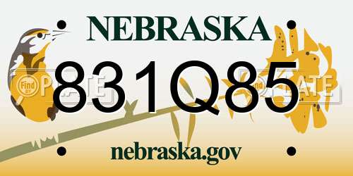 831Q85 Nebraska License Plate