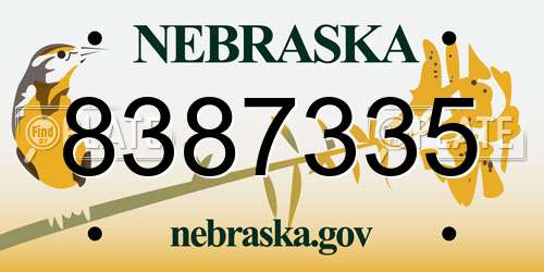 8387335 Nebraska License Plate