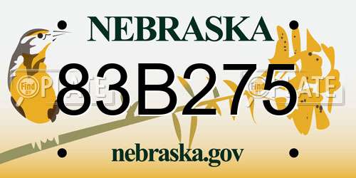 83B275 Nebraska License Plate