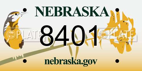 8401 Nebraska License Plate