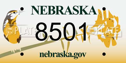 8501 Nebraska License Plate